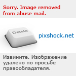 Постер Веселая ферма: печем пиццу бесплатно